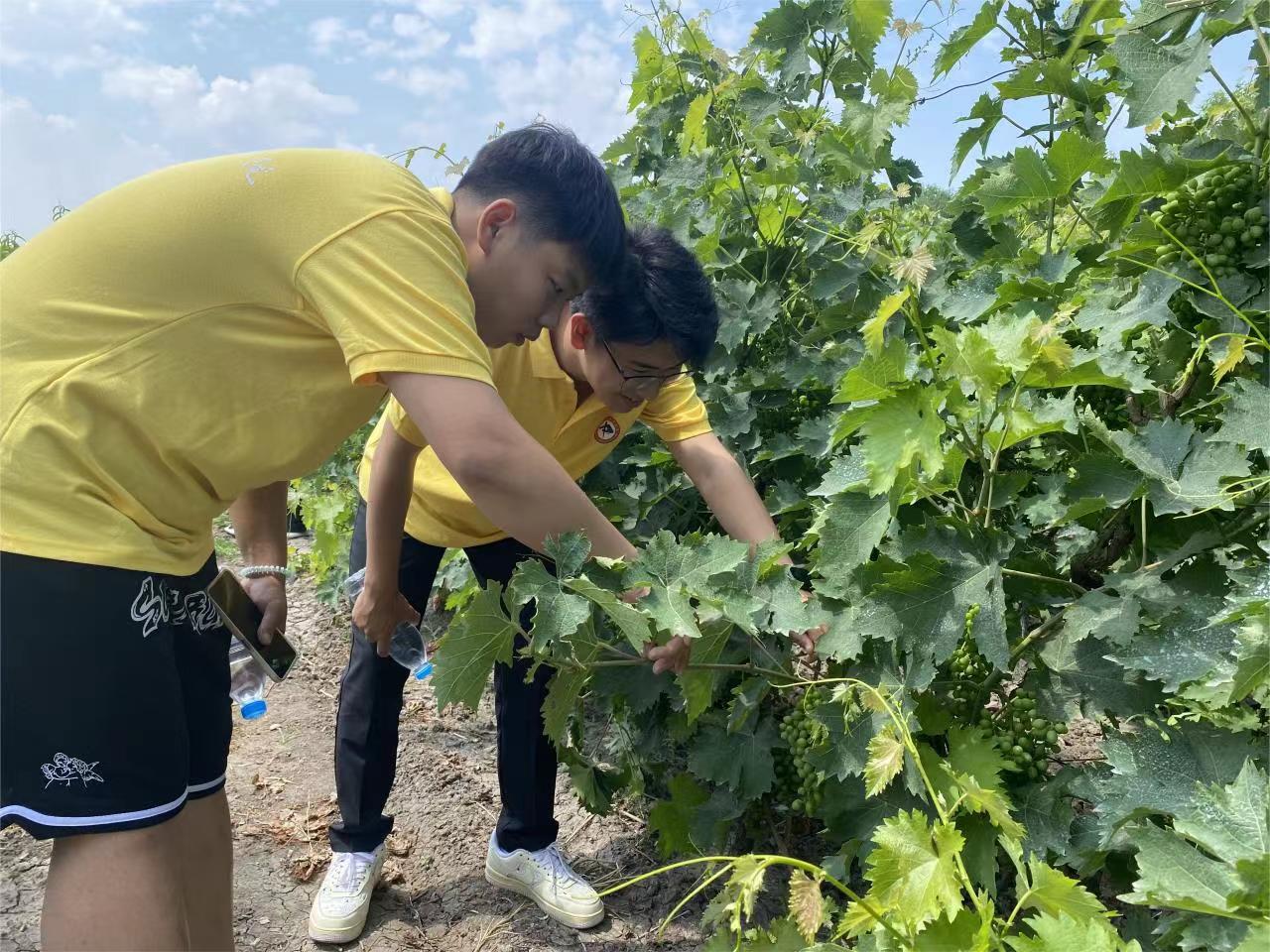 2023613154455.jpg 2023613154455.jpg