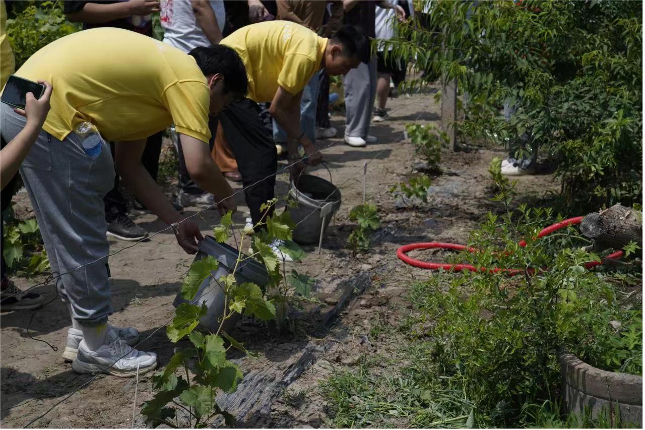 2023613154517.jpg 2023613154517.jpg