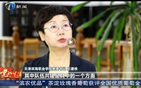 天津电视台新闻频道报道我校与新城镇党建引领智慧助老工作
