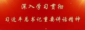深入学习贯彻习近平总书记重要讲话精神