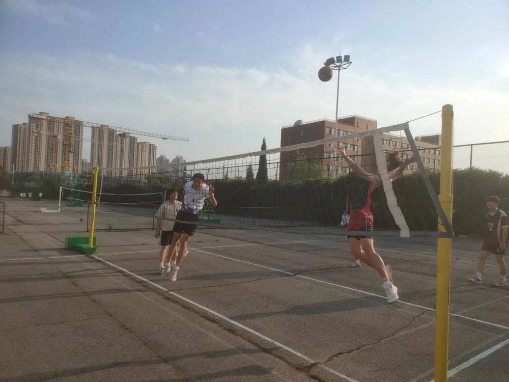 33e014a6aa7fc23872cf2bf38d46d20