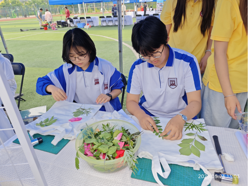 5b523cfb002323d697a100258ffd2379