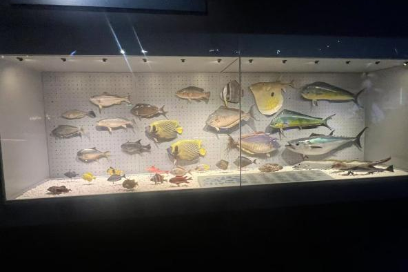 微信图片_20250325204128