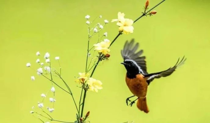 微信图片_20250325212100